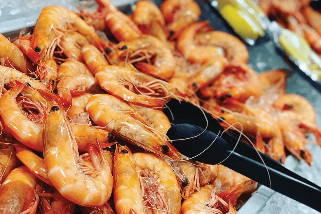 noosa seafood market prawns